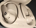beats Powerbeats Pro 2 完全无线高性能耳机【礼物】  真无线蓝牙运动耳机 适用苹果安卓耳机 流沙色 实拍图