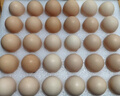 京鲜生 无抗保洁鲜鸡蛋30枚/盒 健康轻食 礼盒送礼 1.5kg/盒 源头直发 实拍图