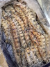 中水远洋进口塞拉利昂斑节虾活冻锁鲜海捕大虾净重2斤九节虾竹节虾40-60只 实拍图