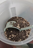 LEGENDSANDY蓝氏 全价猫粮成猫幼猫生骨肉冻干粮 猎鸟乳鸽系列兔肉口味1.5kg 实拍图