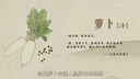 莫代尔超薄冰丝无痕内衣女夏季薄款大胸显小胸罩吊带美背运动背心式文胸 实拍图