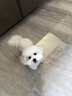 parlmu帕蓝姆宠物零食猫犬通用冻干狗狗拌粮神器训练奖励10拼冻干桶500g 实拍图