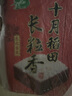 十月稻田 当季新米 长粒香大米 5斤（东北大米 香米 2.5公斤/五斤） 实拍图