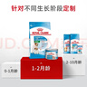 皇家狗粮幼犬奶糕幼犬狗粮宠物小型犬MIS30全价犬粮 ≤2月3KG 实拍图