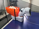 庞伯特（pongbot）NOVA 乒乓球发球机 家用台面便携式智能乒乓球训练器 发球器 NOVA+遥控+电源+软包套装 实拍图