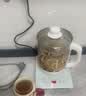生活元素（LIFE ELEMENT）【价保618】煮茶养生壶 多功能花茶 蒸煮 恒温保温 煮茶器 带茶滤 1.8L大容量 多功能养生壶 - D51 实拍图
