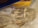 鲜京采内蒙古孜然羊肉串净重2斤 （约50串）露营户外烧烤 京东自有品牌 实拍图