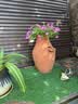 爱丽思花盆塑料圆形树脂多肉花盆种花种菜盆绿萝爱丽丝 浅绿口径20.3cm 实拍图