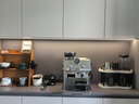 德龙（Delonghi）【价保618】咖啡机家用半自动咖啡机冷萃版银骑士意式研磨一体机手动打奶泡EC9255.M 礼物 实拍图