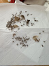 美的（Midea）插电式灭蚊灯家用吸入式灭蚊器驱蚊器卧室客厅母婴基孔肯雅热灭蚊 实拍图