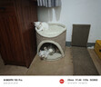 兽牌树洞剑麻桶猫窝猫抓板一体剑麻猫爬架双层大猫屋半封闭式四季通用 砂砾灰丨双层剑麻桶 实拍图