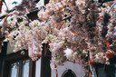 松下S5M2K+（50mm F1.8）白盒  双镜头套装 全画幅微单相机 约2420万有效像素 相位混合对焦 实拍图