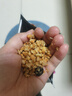 卡乐比（Calbee）即食燕麦片 减糖水果麦片550g 日本进口非油炸 营养早餐代餐零食 实拍图