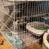 憨憨宠猫笼折叠猫笼子大号猫别墅加粗加密双层猫舍猫窝宠物猫咪用品家用 白色 600双层 实拍图