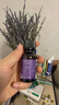 星期四农庄（thursday plantation）澳洲进口薰衣草单方精油25ml香薰天然镇静睡助眠安神生日礼物 实拍图