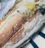时寐东山县澳角村养殖巴浪鱼生态土豪巴浪鱼蓝圆鲹春节团圆饭食材净重 2斤4-5条 实拍图
