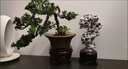 众舰行大型太湖石景观奇石庭院花园小区景观石摆件园林石天然原石造型石 晒单实拍图