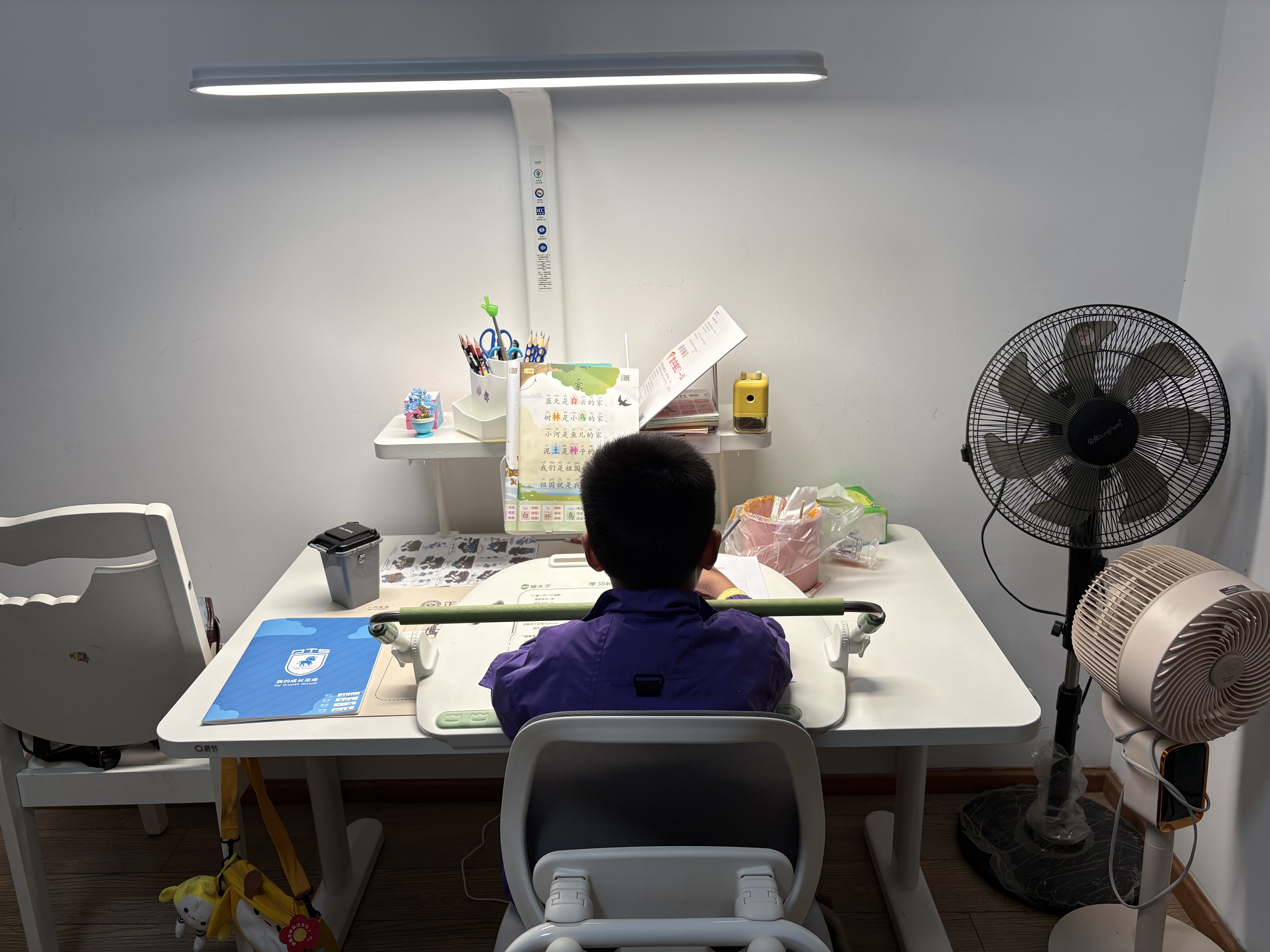青节学生儿童学习桌椅写字桌椅可升降桌椅大白桌家用书桌学习电脑桌 1.2*0.7米Free桌4.0+书架+伴读者台灯+育英椅-标准灰 实拍图