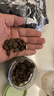 树妮妮咖啡糖1斤可嚼即食干嚼咖啡豆糖果开车熬夜办公室提神零食儿童节 实拍图