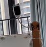 XIAO VV智能婴儿监视器2K 宝宝监控看护器智能AI儿童监视远程看护机哭声检测宝宝摄像头 已接入米家APP 实拍图