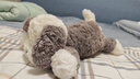 Jellycat唐布利牧羊犬动物毛绒玩偶安抚玩具狗公仔娃娃送礼儿童节生日礼物 唐布利牧羊犬 Medium 实拍图