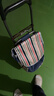 阿蒂亚买菜手拉车购物小拉车超市便携老人爬楼行李拖车折叠拉杆手推车 实拍图