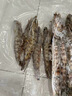 中水远洋进口塞拉利昂斑节虾活冻锁鲜海捕大虾净重2斤九节虾竹节虾40-60只 实拍图