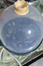 九阳（Joyoung）煮蛋器多功能智能蒸蛋器7个蛋量 ZD7-GE130（飞泉绿） 实拍图