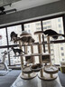 兽牌森林猫爬架大型猫树猫窝一体豪华剑麻猫架太空舱缅因大猫四季适用 森林【双太空舱款】 实拍图