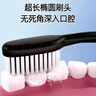 BRUSHING BEAR牙刷软毛高档竹炭细刷丝去渍护龈成年人家用家庭装10支独立包装 实拍图