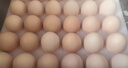 京鲜生 无抗保洁鲜鸡蛋30枚/盒 健康轻食 礼盒送礼 1.5kg/盒 源头直发 实拍图