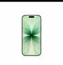 Apple/苹果 iPhone 17 256GB 鼠尾草绿色 支持移动联通电信5G 双卡双待手机 实拍图