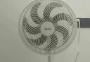 美的（Midea）【品质推荐】七叶轻音柔风电风扇/家用省电落地扇/台式电扇/广角摇头节能宿舍小型风扇 SAE35CA 实拍图