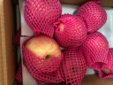 京鲜生烟台红富士苹果5kg一级大果 单果220g以上 水果礼盒 实拍图
