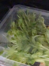 爱力维插电式灭蝇灯粘捕灭蚊灯餐厅饭店商铺家用电捕驱捉杀蚊子苍蝇神器 实拍图