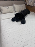 野兽派家居（tbh）黑豹长条抱枕男女睡觉夹腿枕头靠垫家用沙发腰枕床上枕头腰靠靠枕 实拍图