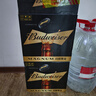 百威黑金啤酒600ml*12瓶整箱装拉格焦香醇厚京东自营踏春送礼 实拍图