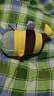 网红小鲨bee搞怪创意毛绒公仔抱枕生日情人节礼物 鲨鱼Bee 23厘米 实拍图
