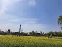智国者【无线充电款】手机散热器降温磁吸背夹式平板打游戏专用结冰直播半导体制冷适用苹果iqoo华硕小米 实拍图