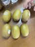 佳沛（zespri）新西兰阳光金奇异果10粒巨大果单果146-175g 猕猴桃水果礼盒 实拍图