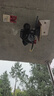 奇视明4G5G太阳能监控摄像头四镜头AOV高空抛物终身免流量360全景全彩夜视追踪无电无网户外室外超高清 26年新款【变焦款】5镜头四画面+终身免流量 送30天循环录像+AOV全天录像+30米AI感应 实拍图