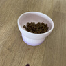 乐优派猫碗陶瓷狗碗宠物喂食碗高脚防打翻防黑下巴猫食盆狗盆渐变紫猫咪用品 实拍图