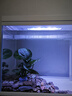 森森（SUNSUN）超白鱼缸一体缸自循环客厅水族箱桌面家用懒人免换水小型金鱼缸 超白HEJ480标配+水榕景 实拍图
