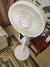艾美特（AIRMATE）【轻语系列】电风扇安静卧室一级能效落地扇轻音家用直流变频大风力台立式节能遥控全屋驱蚊循环扇 实拍图