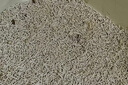 pidan猫砂 超细豆腐膨润土混合猫砂6.18KG*3包 整箱装皮蛋猫砂自营 实拍图