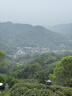 西湖工夫西湖美人牌2026新茶明前特级老茶树龙井绿茶茶叶礼盒150g春茶送人 实拍图