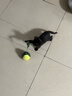 HELLOJOY猫玩具自嗨解闷逗猫棒不倒翁漏食球猫薄荷宠物猫玩的猫咪用品大全 实拍图