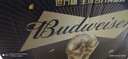 百威黑金啤酒600ml*12瓶整箱装拉格焦香醇厚京东自营踏春送礼 实拍图
