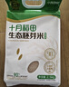 十月稻田 当季新米 生态胚芽米 90%留胚 5斤(营养辅食 粥米 东北大米) 实拍图