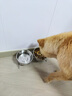 DALYKATE德国品牌猫碗狗碗狗狗食盆宠物用品不锈钢双碗喝水碗增高架防打翻 304食品级不锈钢--小号碗+小号碗 【耐腐蚀 不易锈】 实拍图